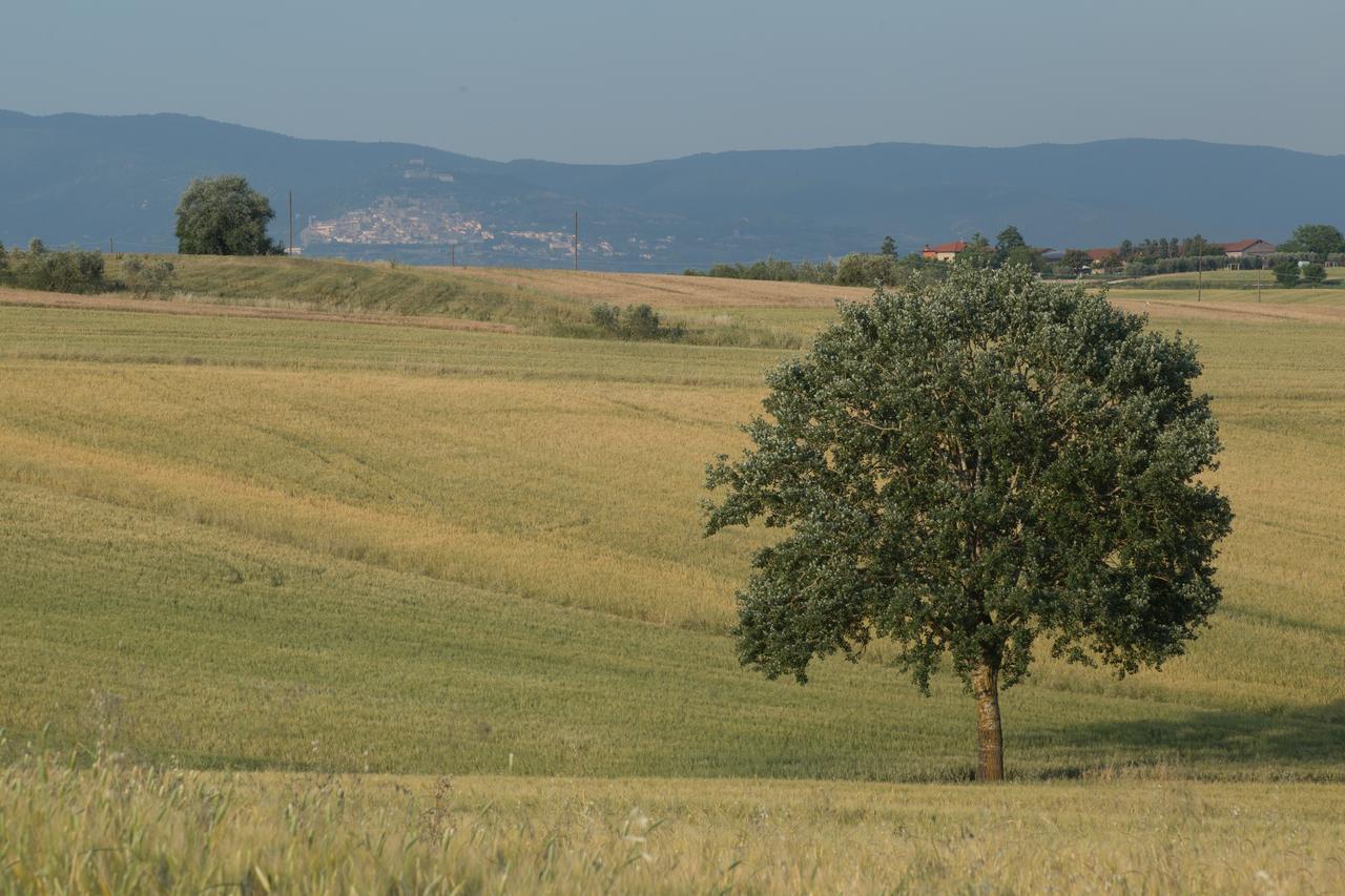 Casa Bellavista B&B Cortona Dış mekan fotoğraf