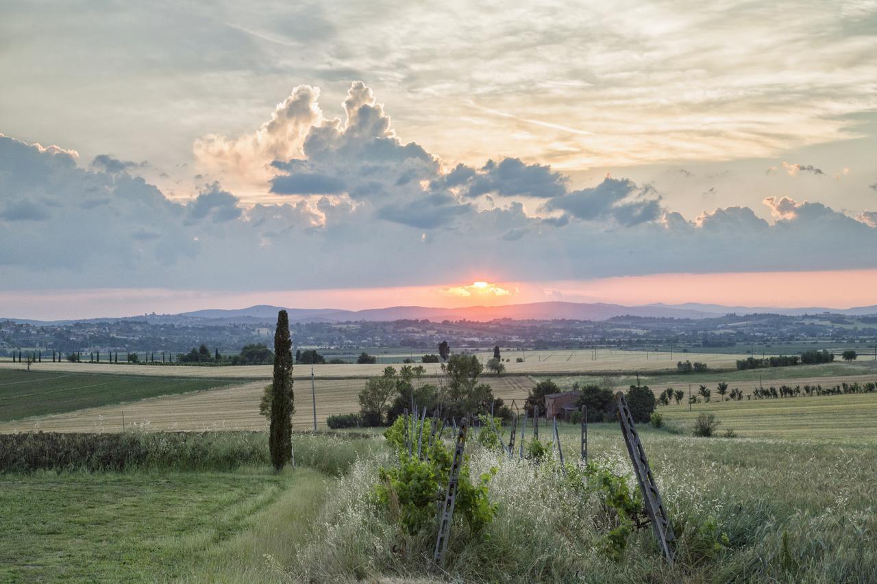 Casa Bellavista B&B Cortona Dış mekan fotoğraf